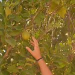 Villa Casa De Ria *